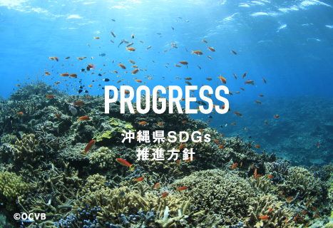 沖縄県SDGs推進方針