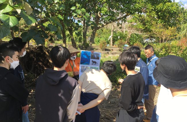 【事例紹介】“自然と環境の保全は足元から”身近な自然から考えるSDGs-後編-