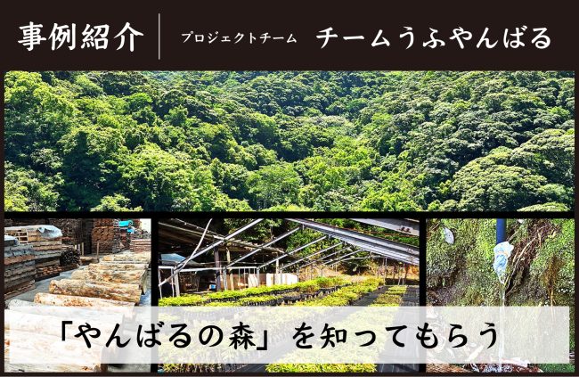 【事例紹介】人と自然が共生してきた「やんばるの森」を知ってもらう＜ プロジェクトチーム「チームうふやんばる」＞