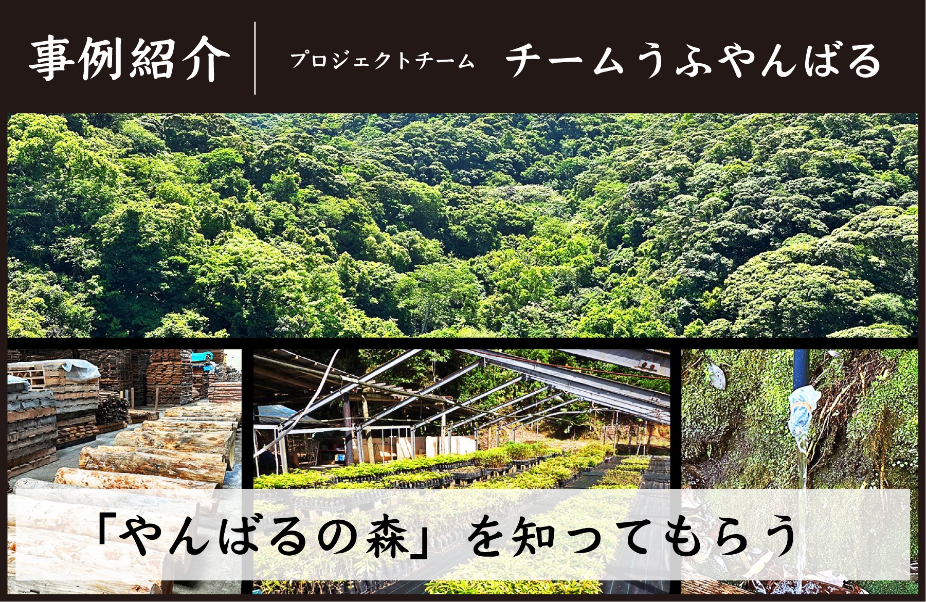 事例紹介】人と自然が共生してきた「やんばるの森」を知ってもらう