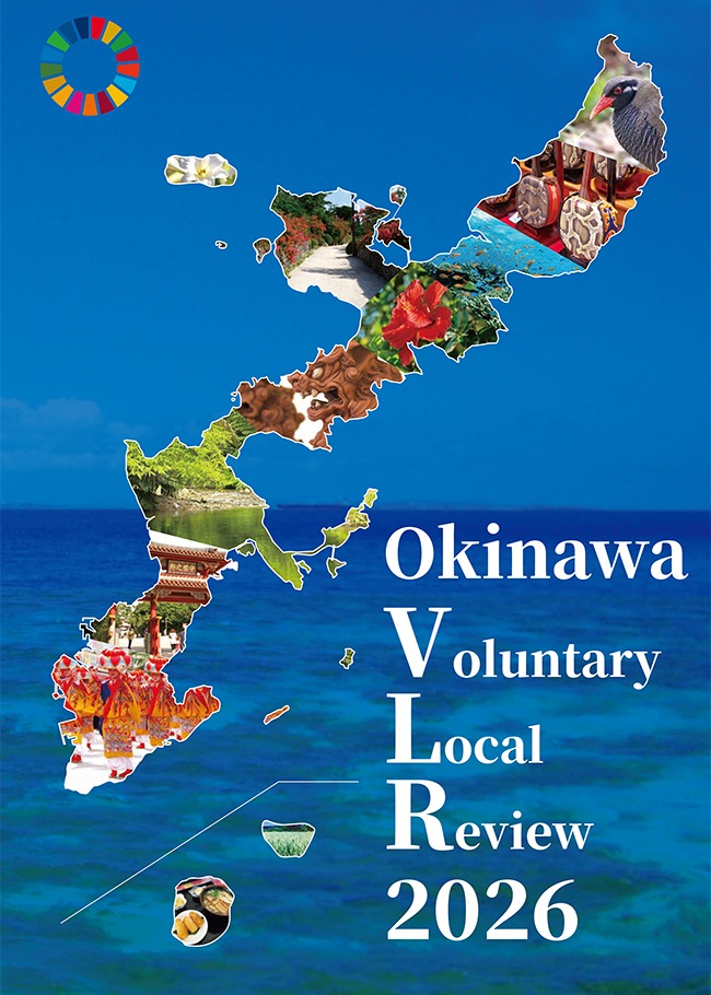 Okinawa VLR 2026 (English)の画像