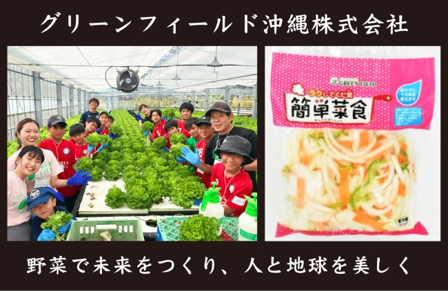 【事例紹介】野菜で未来をつくり、人と地球を美しく＜グリーンフィールド沖縄株式会社＞