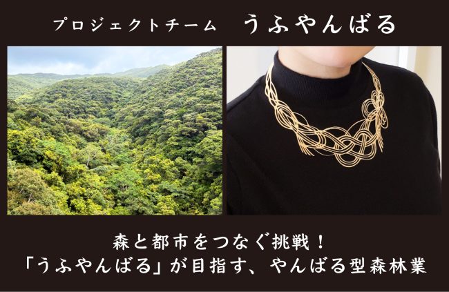 【事例紹介】森と都市をつなぐ挑戦！～プロジェクトチーム「うふやんばる」が目指す、やんばる型森林業～